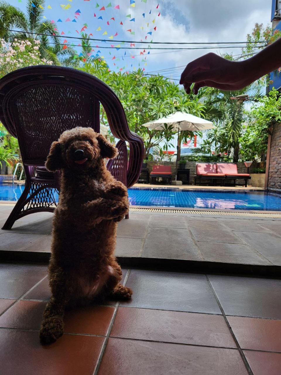 Jasmine Lodge Sziemreap Kültér fotó