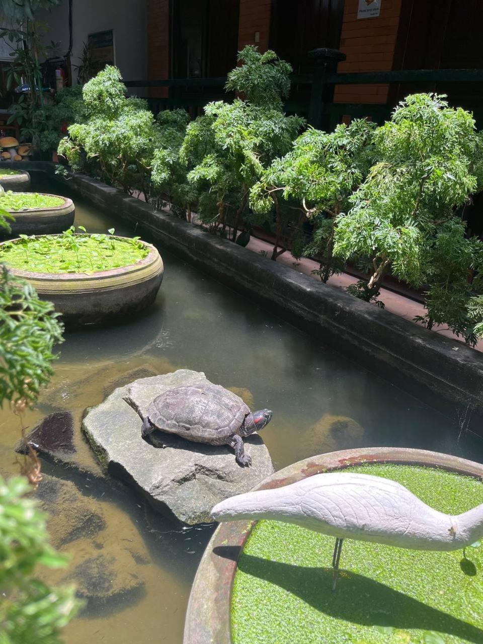 Jasmine Lodge Sziemreap Kültér fotó